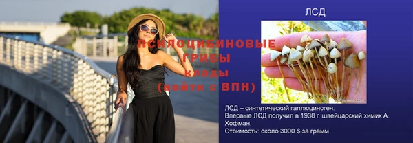 ешки Богданович